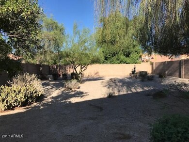 Xeriscaped backyard