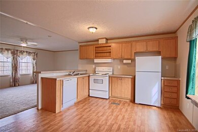 50 Ramona Dr, Leicester, NC 28748 - photo 2