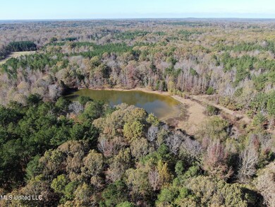 DJI_0339