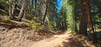 2971 13 Dips Rd, Hayfork, CA 96041 - photo 6