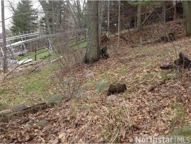 L9 B1 Lake View Dr, Cushing, MN 56443 - photo 5