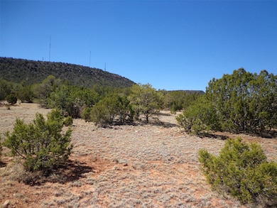 Tract 1B Camino Del Sol, Bernal, NM 87569 - photo 2