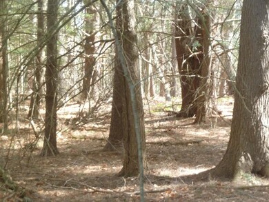 167 West Rd, Bernardston, MA 01337 - photo 3