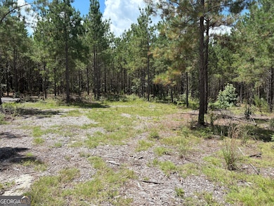 0 Black Creek Rd, Gordon, GA 31031 - photo 5