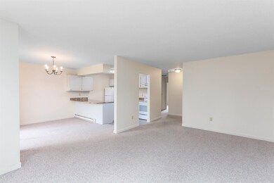 36 Twin Oaks Terrace, South Burlington, VT 05403 - photo 6