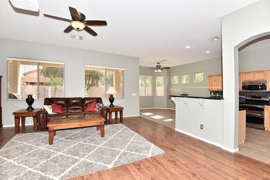 Family Room/Kitchen