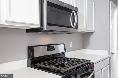 6510 Lake Park Dr, Greenbelt, MD 20770 - photo 5