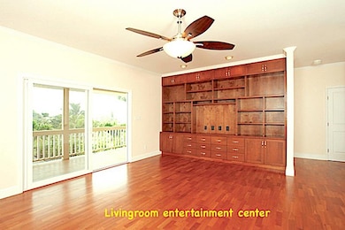 Built-in Entertainment center and book shelves