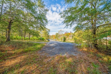 Undefined Scott Rd, Ellerslie, GA 31807 - photo 5