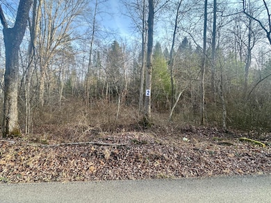 Lot 2 Radford Rd, East Bernstadt, KY 40729 - photo 5