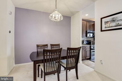 20406 Cool Fern Square, Ashburn, VA 20147 - photo 6