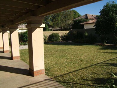 Grass Back Yard