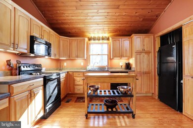 441 Over The Hill Ln, Berkeley Springs, WV 25411 - photo 6