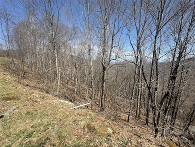 14 & 16 Overlook Dr, Mars Hill, NC 28754 - photo 2