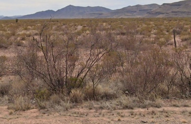 Quarter Horse Run, Sierra Blanca, TX 79851 - photo 2