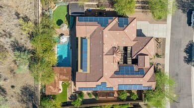 Extraordinary Yard