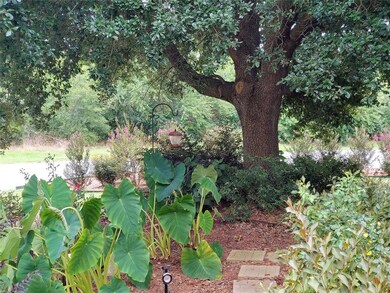 2015 Pecan St, Bonham, TX 75418 - photo 3