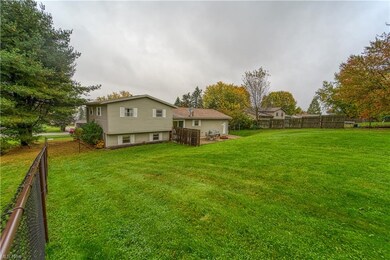 Huge Backyard