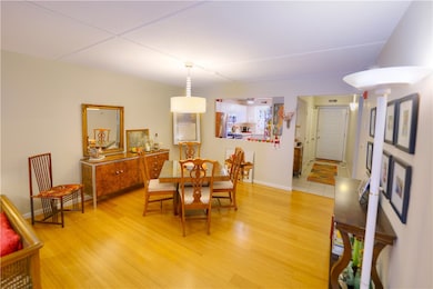 Dining are looking into the kitchen and entryway