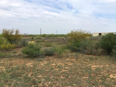 0 Farm To Market Road 468, Cotulla, TX - photo 6