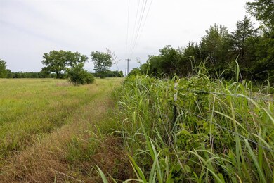 View of local wilderness with a rural view