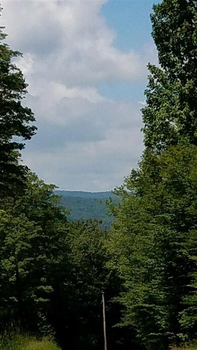 0 White Rd unit 4853123, Readsboro, VT 05350 - photo 5