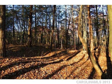 Land/Lot - Interior View of wooded lot