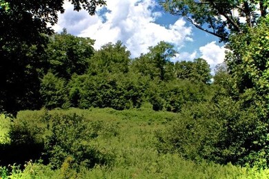 0 Crowningshield Rd unit 1 4819621, Chesterfield, NH 03443 - photo 4