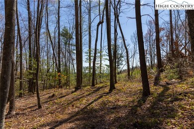 27 Wilderness Reserve Pkwy, Deep Gap, NC 28618 - photo 4