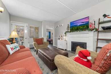 Gatlinburg Chateau unit 506, Gatlinburg, TN 37738 - photo 3