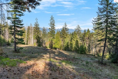 Lot A Spring View Ln, Sagle, ID 83860 - photo 7