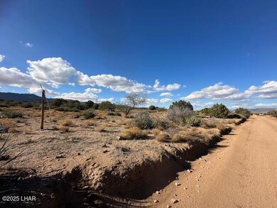 0000 N Running Brook, Hackberry, AZ 86411 - photo 4