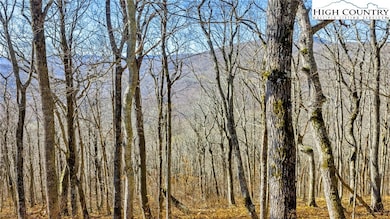 TBD ( lot 79) Elk Creek Mountain Pkwy, Todd, NC 28684 - photo 2