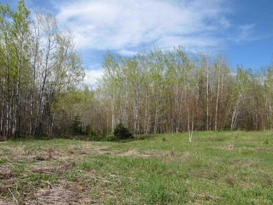 TBD Off Rice Lake Rd unit No Drive Bys, Lake Linden, MI 49945 - photo 4