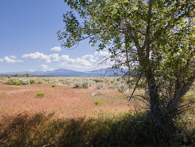DJI_0942-HDR