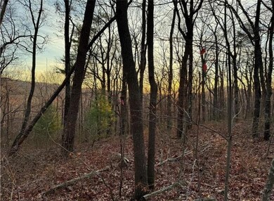 View of nature at dusk