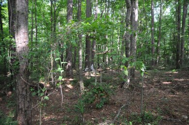 Lots of Natural Area