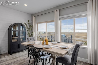 6654 Backcountry Loop, Colorado Springs, CO 80927 - photo 5