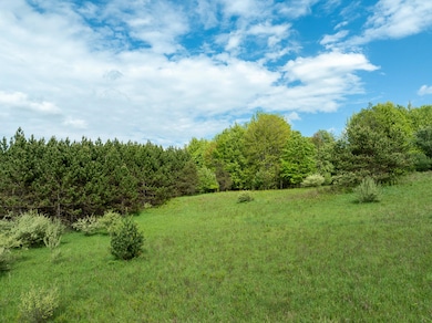 80 E 24th St, Pinora Township, MI 49677 - photo 7