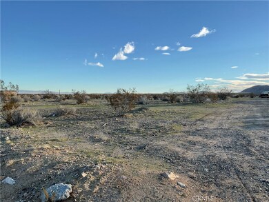 1 Buffalo Trail, Helendale, CA 92342 - photo 5