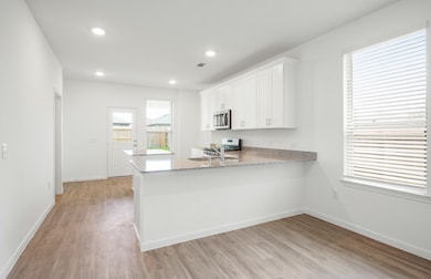 17202 Boulder Beach Dr, Crosby, TX 77532 - photo 4