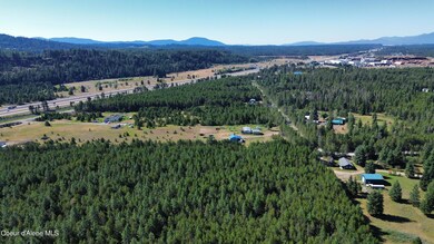 40 Acres N Old Highway 95, Athol, ID 83801 - photo 5