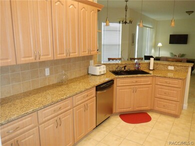 315 E Dusty Ct, Hernando, FL 34442 - photo 5