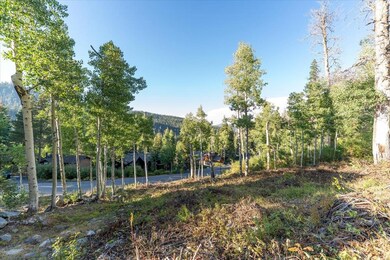 1037 Snow Crest Rd, Alpine Meadows, CA 96146 - photo 6