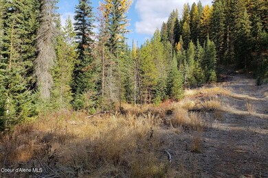 114a Packer Creek Rd, Haugen, MT 59842 - photo 7