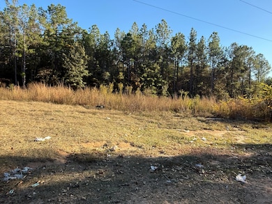 Photo Nov 11 2025, 3 37 31 PM