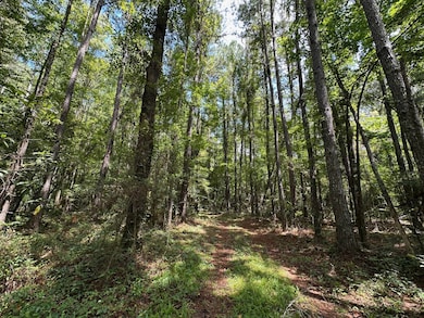 1 Railroad Ln, Pinola, MS 39149 - photo 3