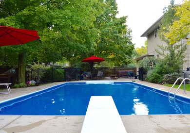 Dive In
