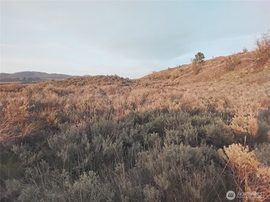 0 Paradise Point Rd unit NWM2455797, Tonasket, WA 98855 - photo 5