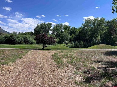 646 Horse Thief Ln, Durango, CO 81301 - photo 4
